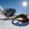Scheletro di Montone coperto dalla neve – Sibillini